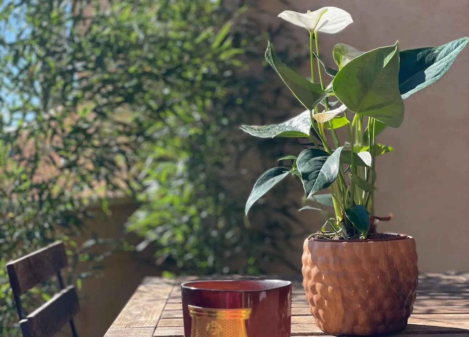 Appartement Le Mini - Un Voyage En Provence à Aix-en-Provence